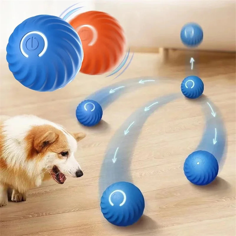 Dog toy ball launcher for big dogs rope ball toys for dogs toy balls for dogs ball throwing toy for dogs ball toys for dog ball toy for dogs ball toys for dogs interactive ball toys for dogs best ball toys for dogs best toy balls for dogs inteactive toy ball for dogs ball popping toy for dogs popping ball