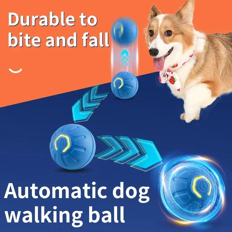 Dog toy ball launcher for big dogs rope ball toys for dogs toy balls for dogs ball throwing toy for dogs ball toys for dog ball toy for dogs ball toys for dogs interactive ball toys for dogs best ball toys for dogs best toy balls for dogs inteactive toy ball for dogs ball popping toy for dogs walking ball 