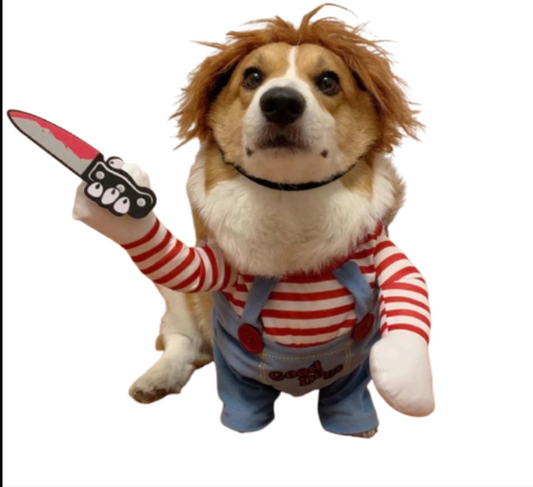 corgi in chucky clothes dog clothes dog clothing big dog clothing big dogs clothing designer dog clothes dog clothes dog and cats clothing dog clothes for small dogs dogs in clothes clothes for dogs dog clothes near me small dogs clothes chihuahua dog clothes clothing for dog