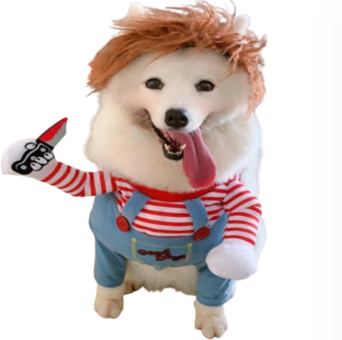 breed in chucky clothes dog clothes dog clothing big dog clothing big dogs clothing designer dog clothes dog clothes dog and cats clothing dog clothes for small dogs dogs in clothes clothes for dogs dog clothes near me small dogs clothes chihuahua dog clothes clothing for dog