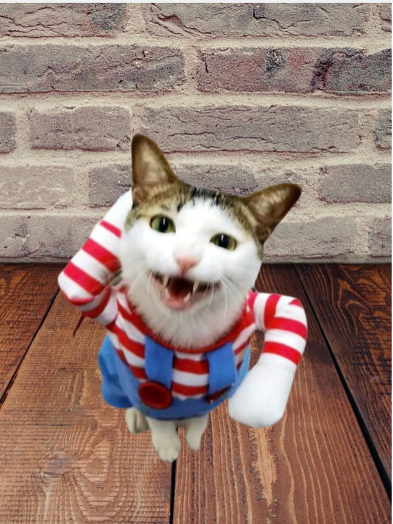 cat at home in chucky clothes dog clothes dog clothing big dog clothing big dogs clothing designer dog clothes dog clothes dog and cats clothing dog clothes for small dogs dogs in clothes clothes for dogs dog clothes near me small dogs clothes chihuahua dog clothes clothing for dog