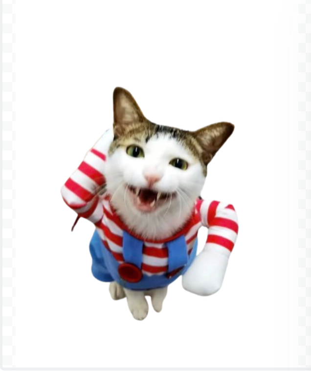 cat in chucky clothes dog clothes dog clothing big dog clothing big dogs clothing designer dog clothes dog clothes dog and cats clothing dog clothes for small dogs dogs in clothes clothes for dogs dog clothes near me small dogs clothes chihuahua dog clothes clothing for dog