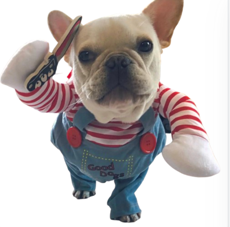 bulldog in chucky clothes dog clothes dog clothing big dog clothing big dogs clothing designer dog clothes dog clothes dog and cats clothing dog clothes for small dogs dogs in clothes clothes for dogs dog clothes near me small dogs clothes chihuahua dog clothes clothing for dog