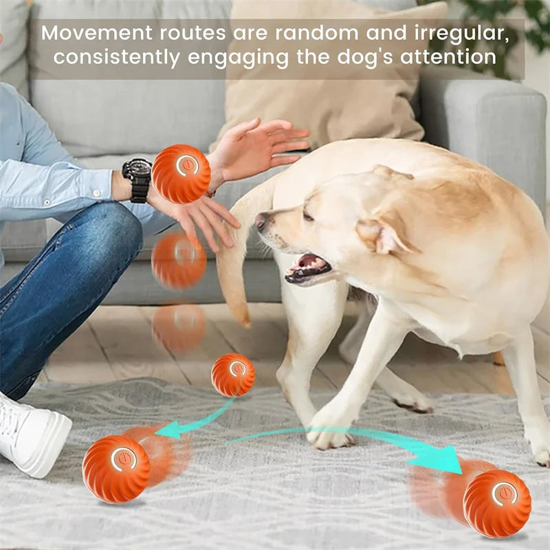 Dog toy ball launcher for big dogs rope ball toys for dogs toy balls for dogs ball throwing toy for dogs ball toys for dog ball toy for dogs ball toys for dogs interactive ball toys for dogs best ball toys for dogs best toy balls for dogs inteactive toy ball for dogs ball popping toy for dogs  attention 